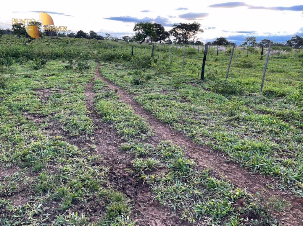 Fazenda de 1.920 ha em Tesouro, MT
