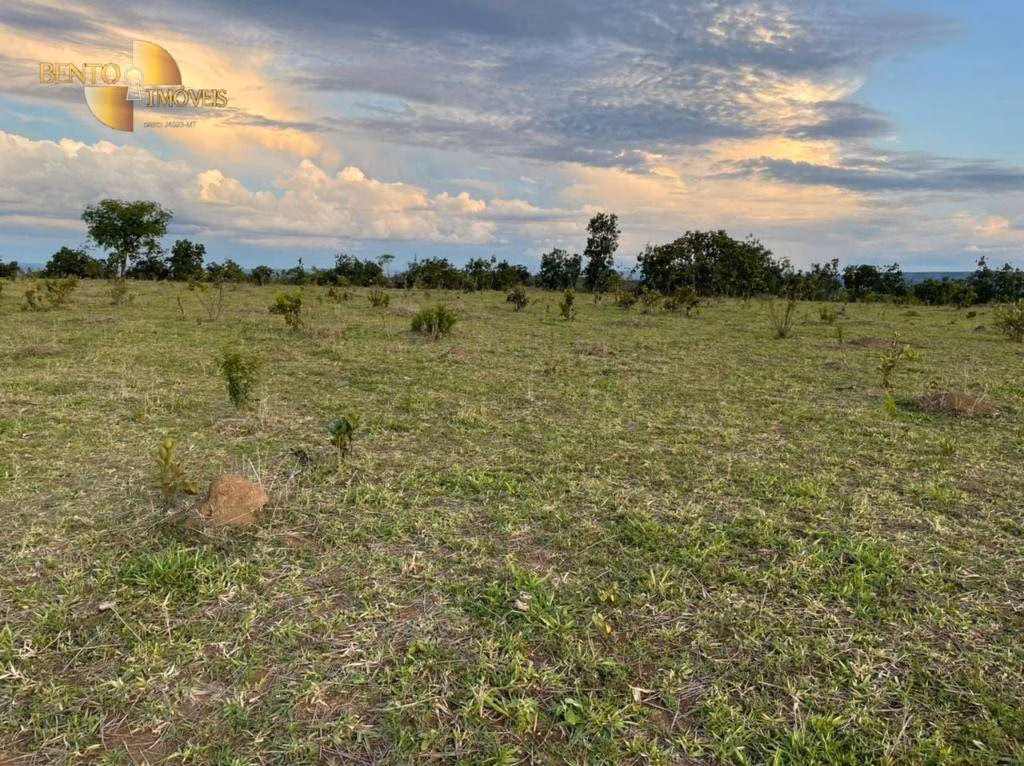 Fazenda de 1.920 ha em Tesouro, MT