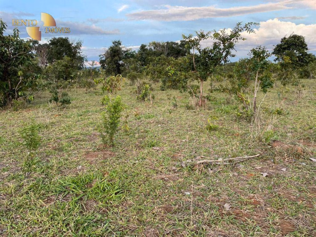 Fazenda de 1.920 ha em Tesouro, MT