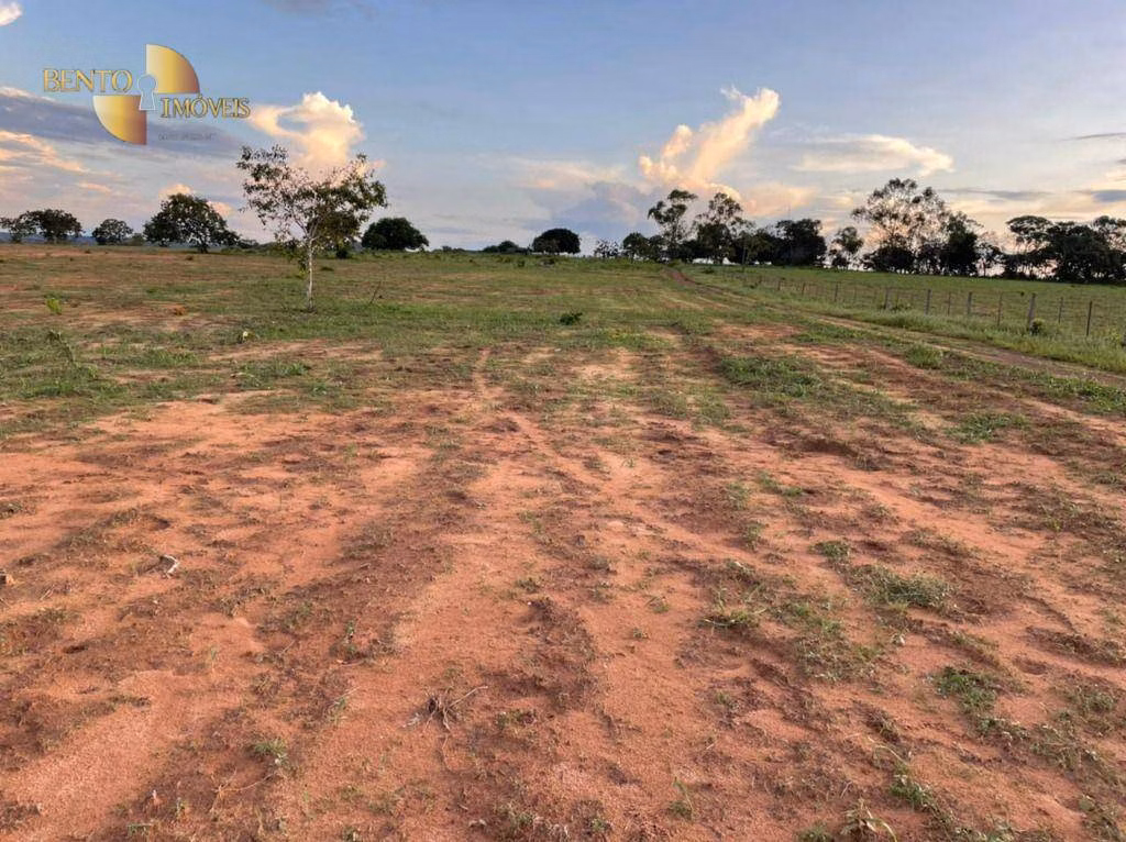 Fazenda de 1.920 ha em Tesouro, MT