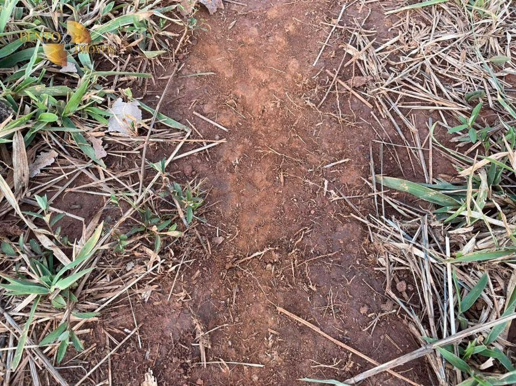 Fazenda de 1.920 ha em Tesouro, MT