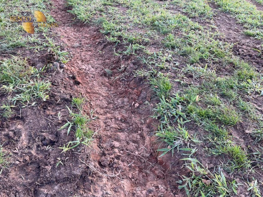 Fazenda de 1.920 ha em Tesouro, MT