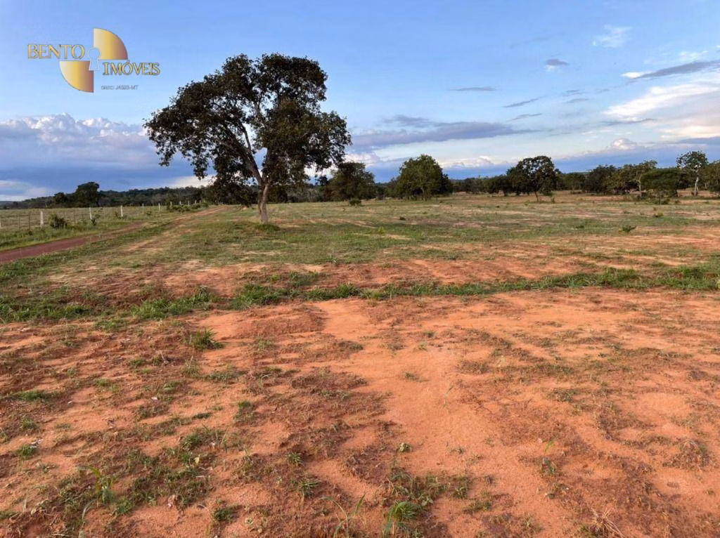 Fazenda de 1.920 ha em Tesouro, MT