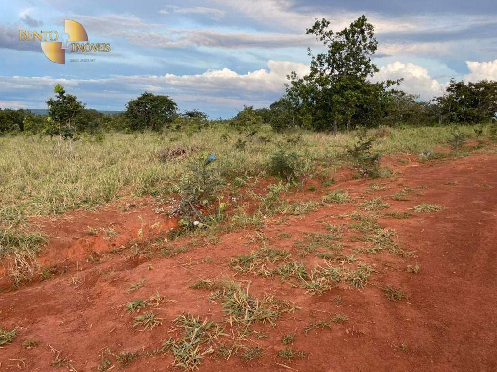 Fazenda de 1.920 ha em Tesouro, MT