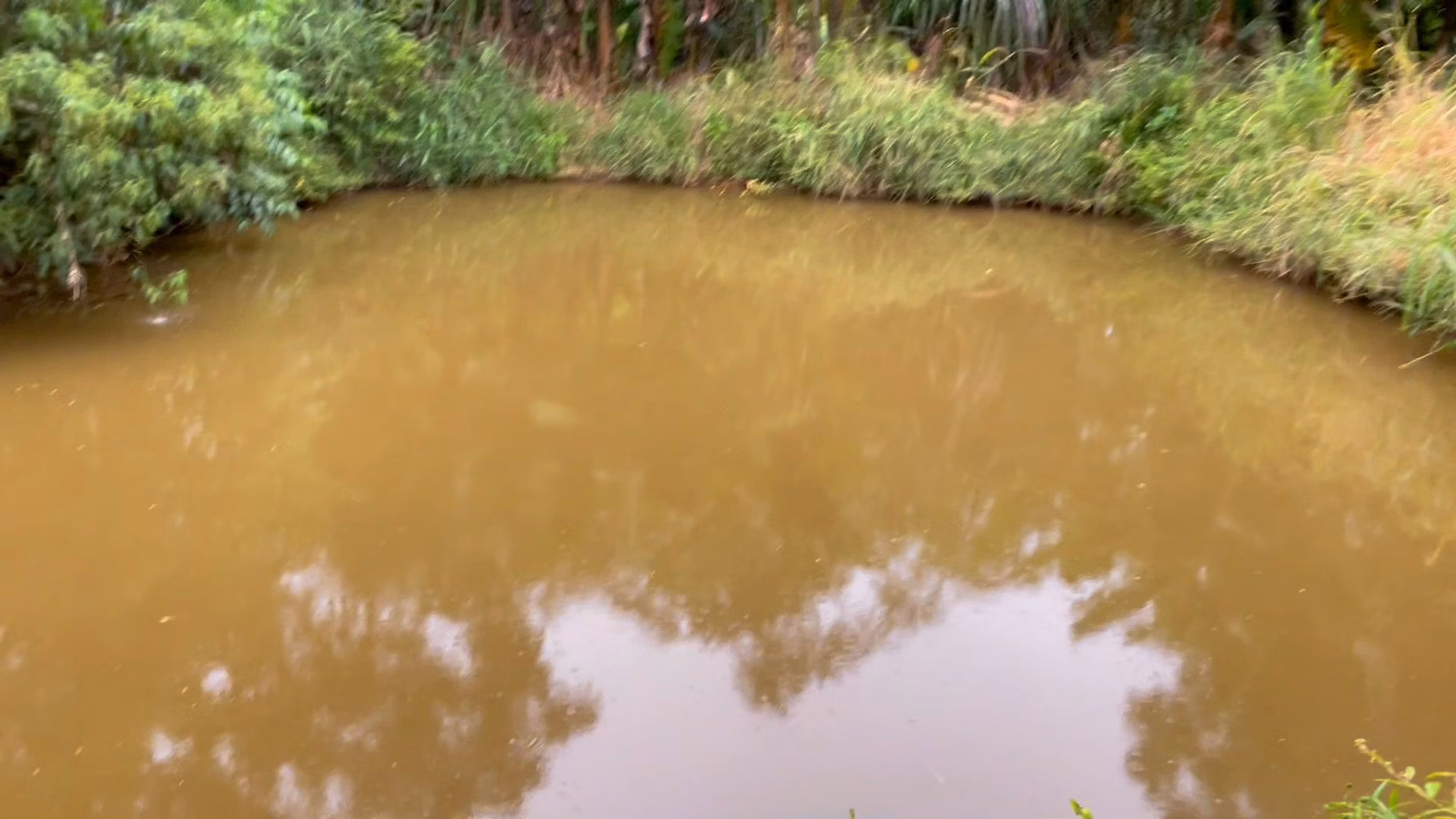 Chácara de 2.000 m² em Caraá, RS