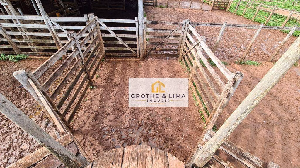 Fazenda de 1.026 ha em Araguaína, TO
