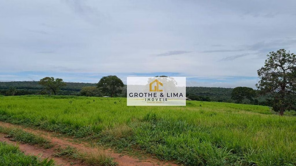 Fazenda de 1.026 ha em Araguaína, TO
