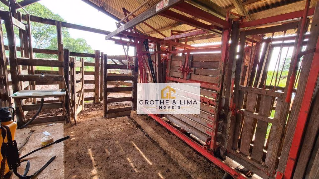 Fazenda de 1.026 ha em Araguaína, TO