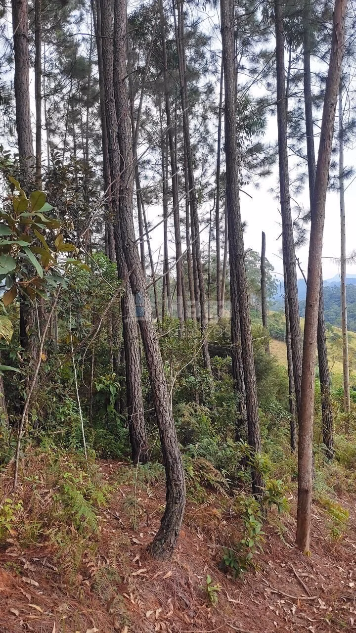 Terreno de 7 ha em São João Batista, SC
