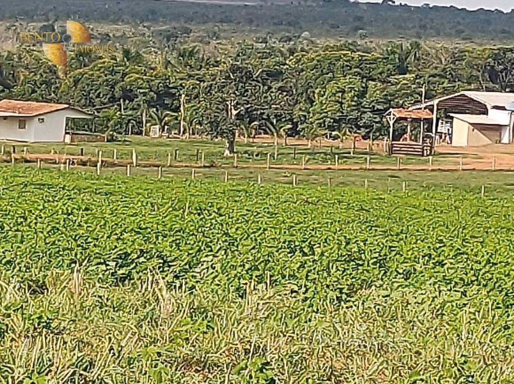Fazenda de 3.500 ha em Campo Verde, MT