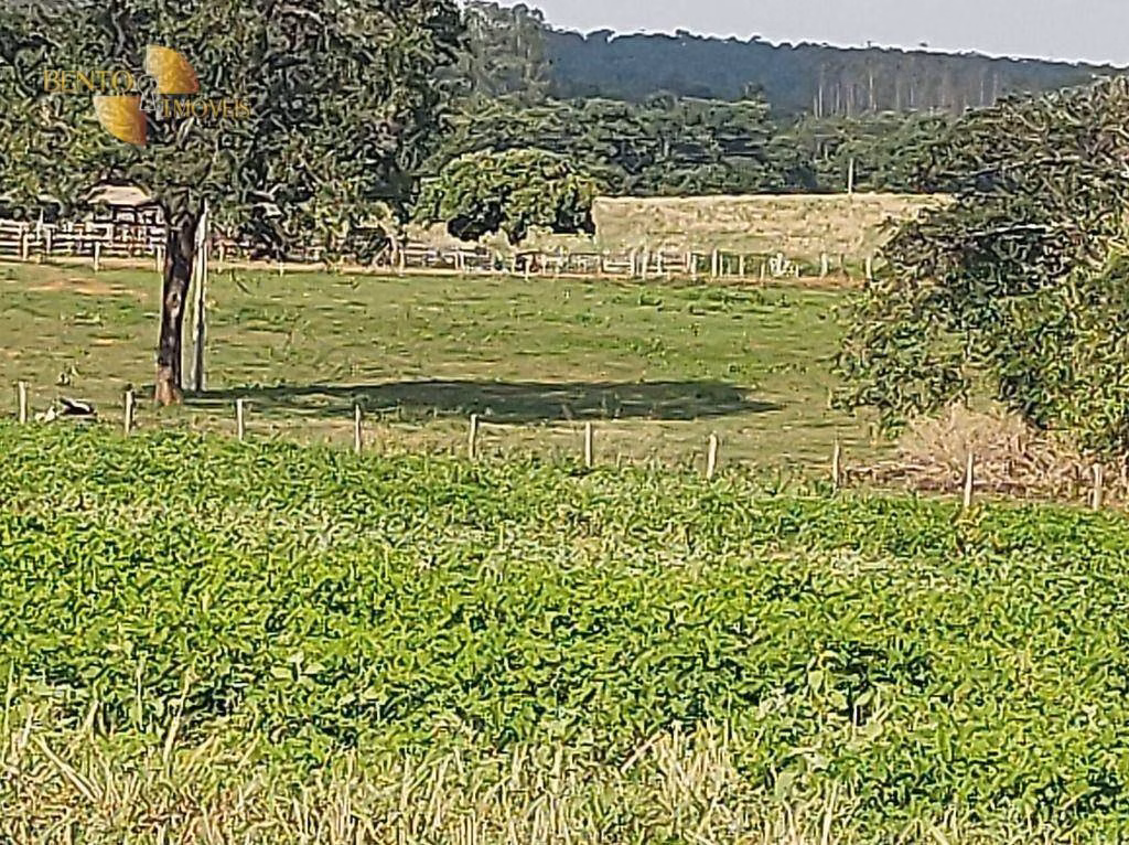Fazenda de 3.500 ha em Campo Verde, MT