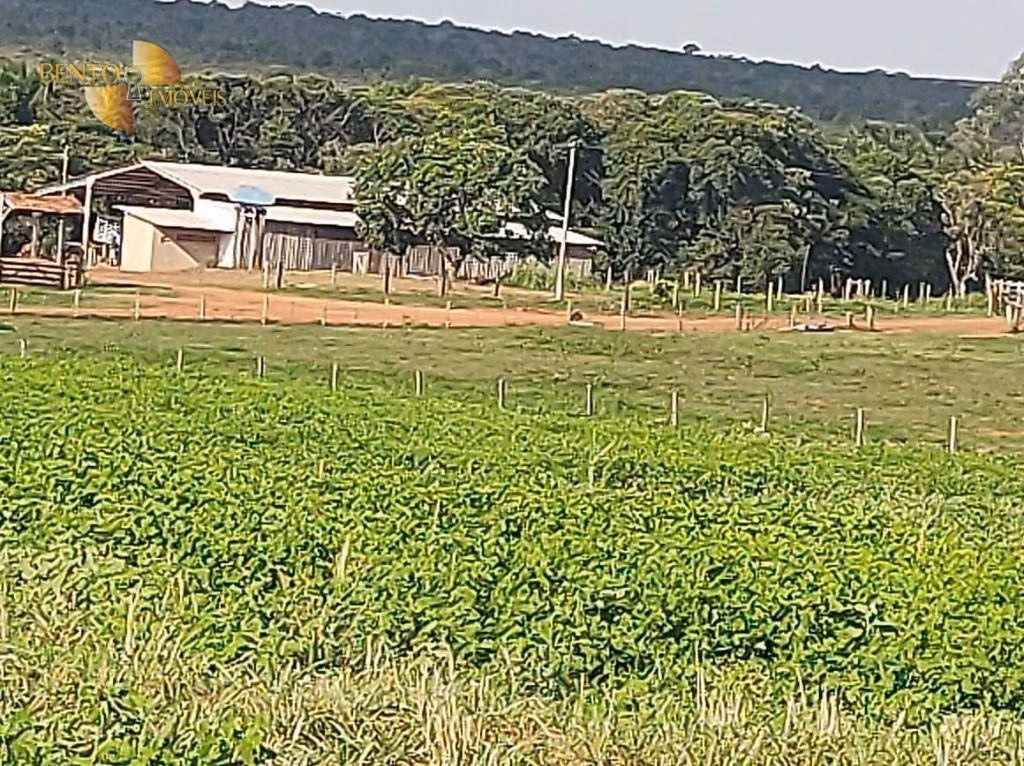 Fazenda de 3.500 ha em Campo Verde, MT