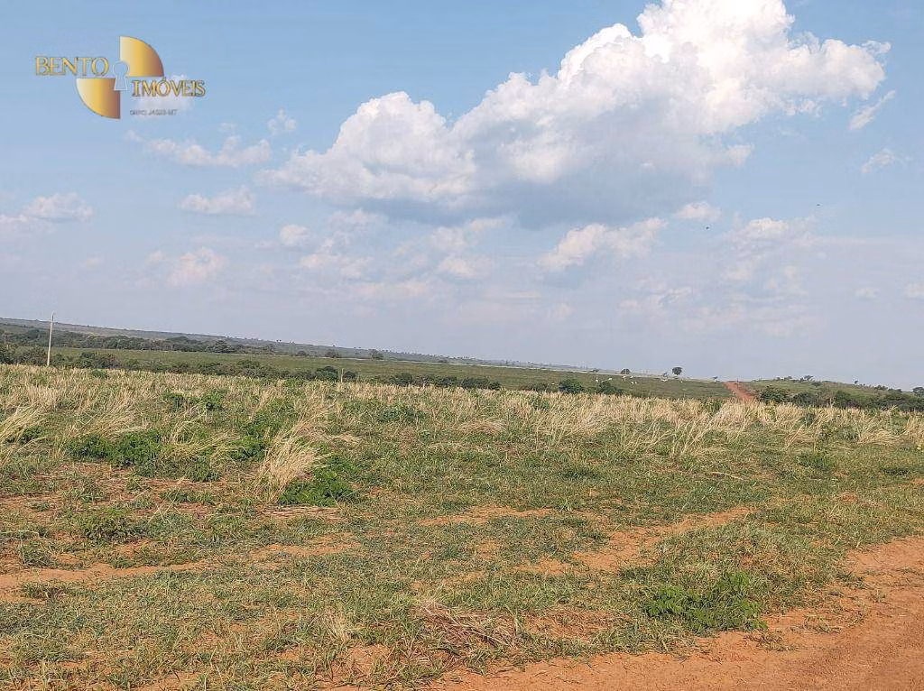 Fazenda de 3.500 ha em Campo Verde, MT
