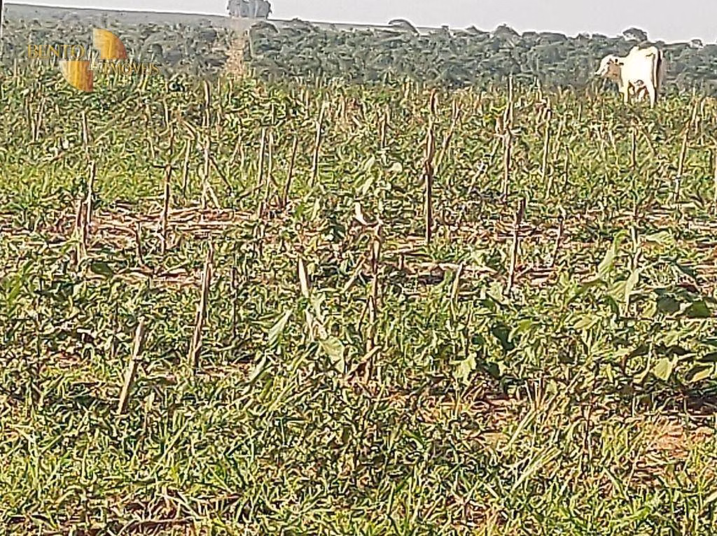 Fazenda de 3.500 ha em Campo Verde, MT