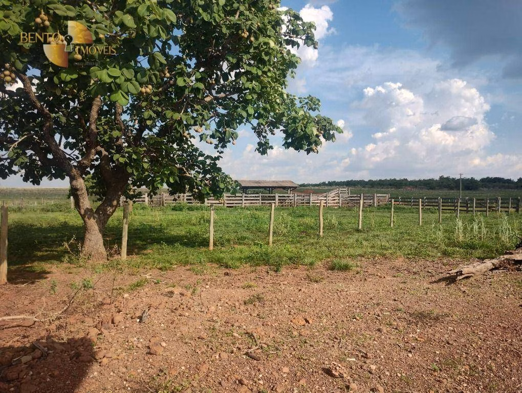 Fazenda de 3.500 ha em Campo Verde, MT