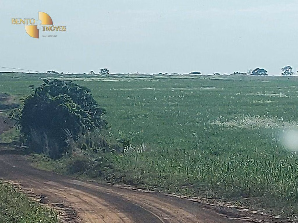 Fazenda de 3.500 ha em Campo Verde, MT