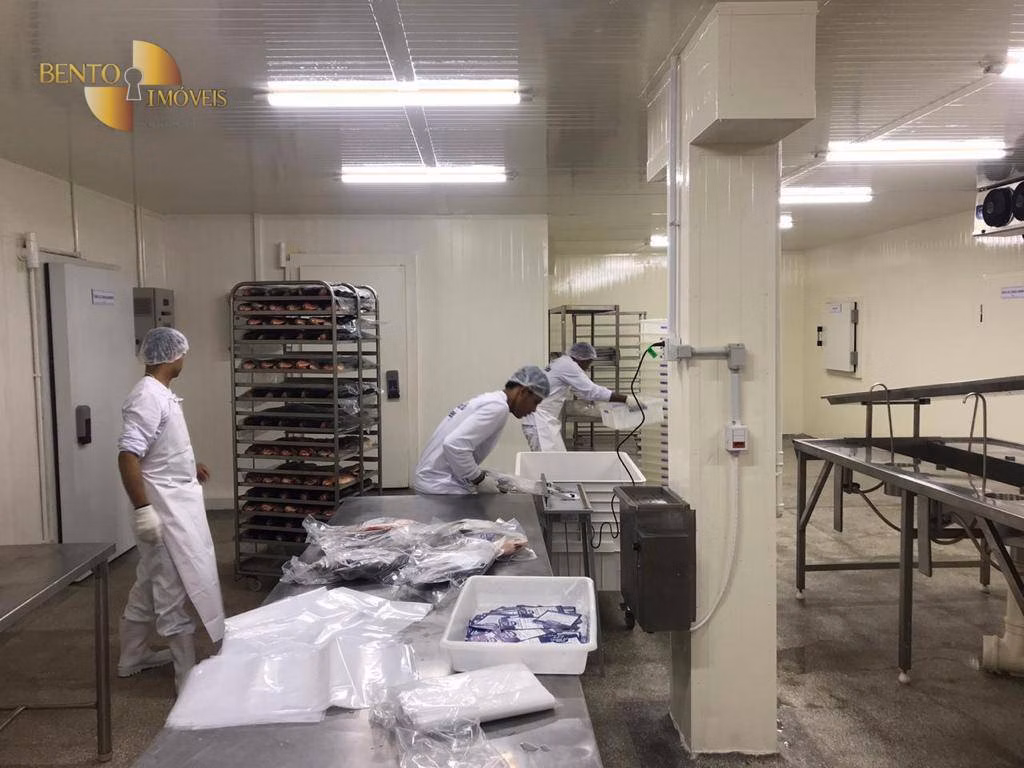 Fazenda de 507 ha em Cuiabá, MT