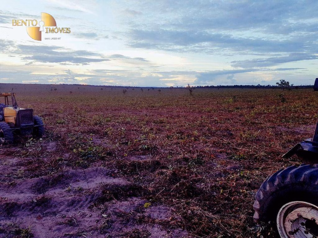 Farm of 19,768 acres in Paranatinga, MT, Brazil