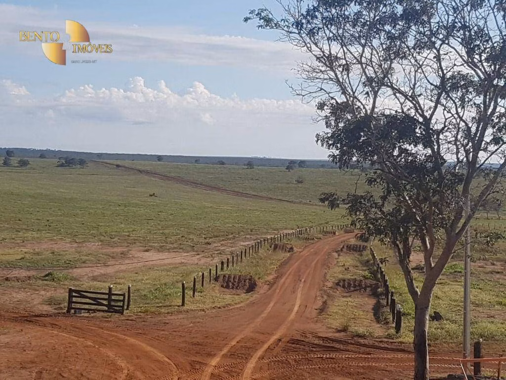 Farm of 19,768 acres in Paranatinga, MT, Brazil