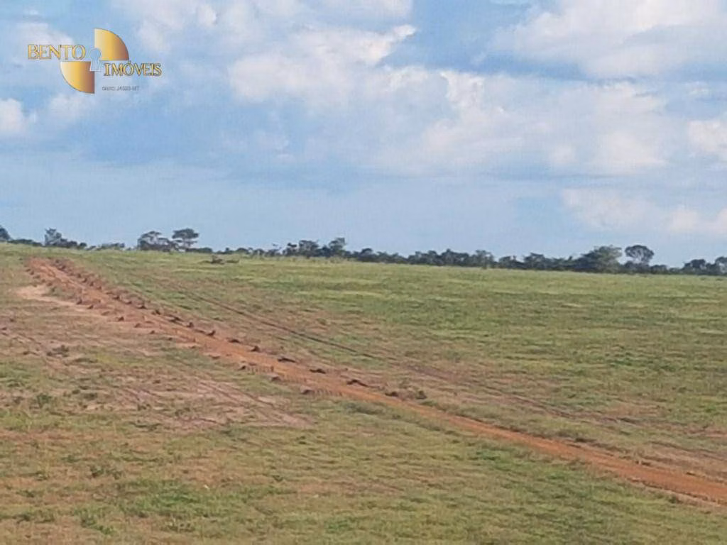 Farm of 19,768 acres in Paranatinga, MT, Brazil