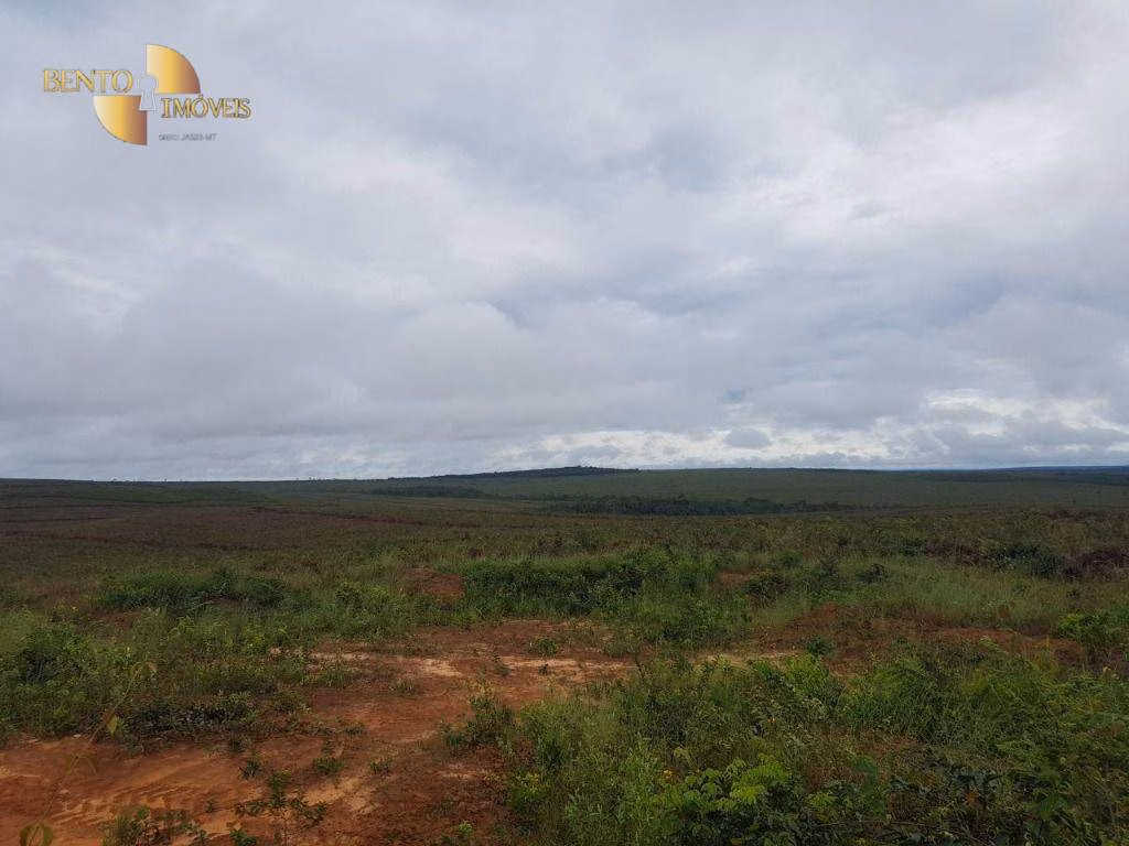 Farm of 19,768 acres in Paranatinga, MT, Brazil