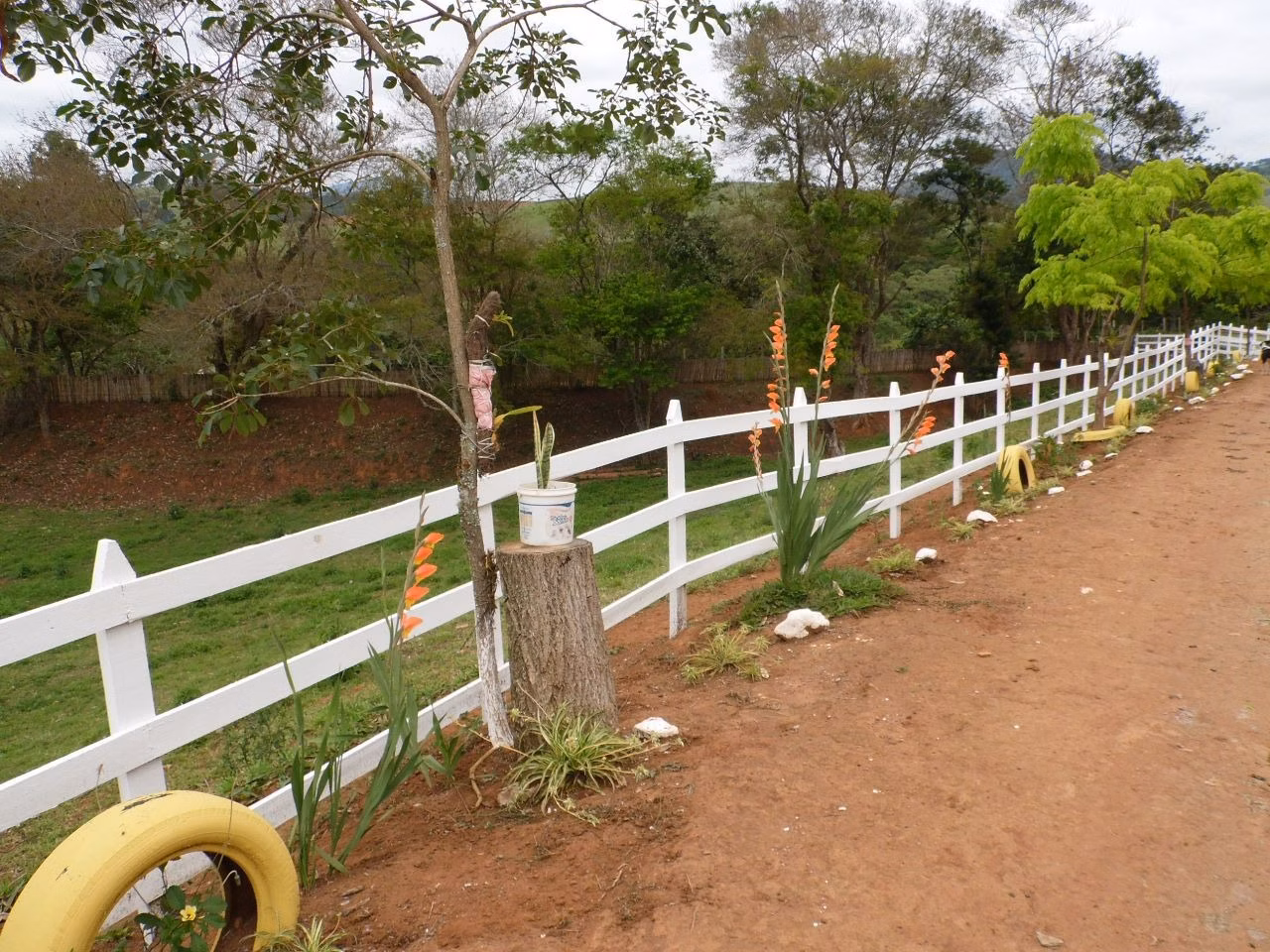 Sítio de 10 ha em Paraisópolis, MG