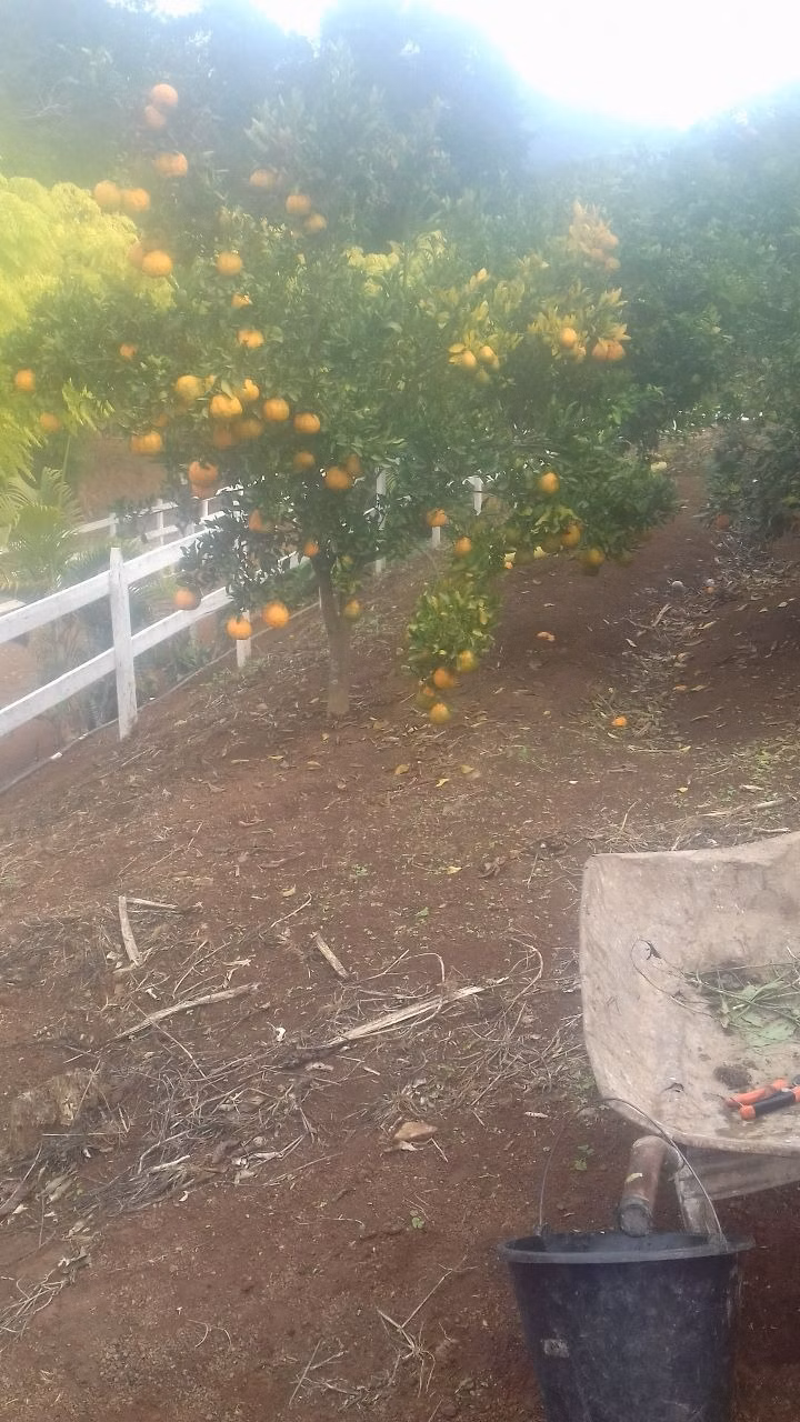 Sítio de 10 ha em Paraisópolis, MG