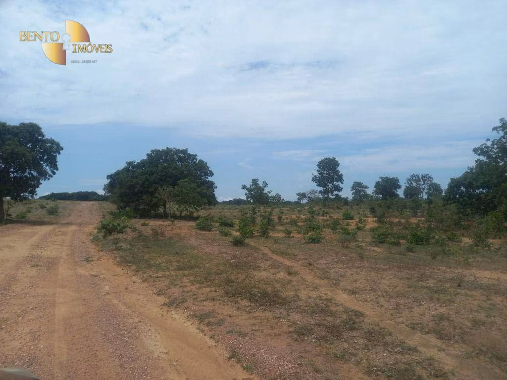 Fazenda de 1.629 ha em Poconé, MT