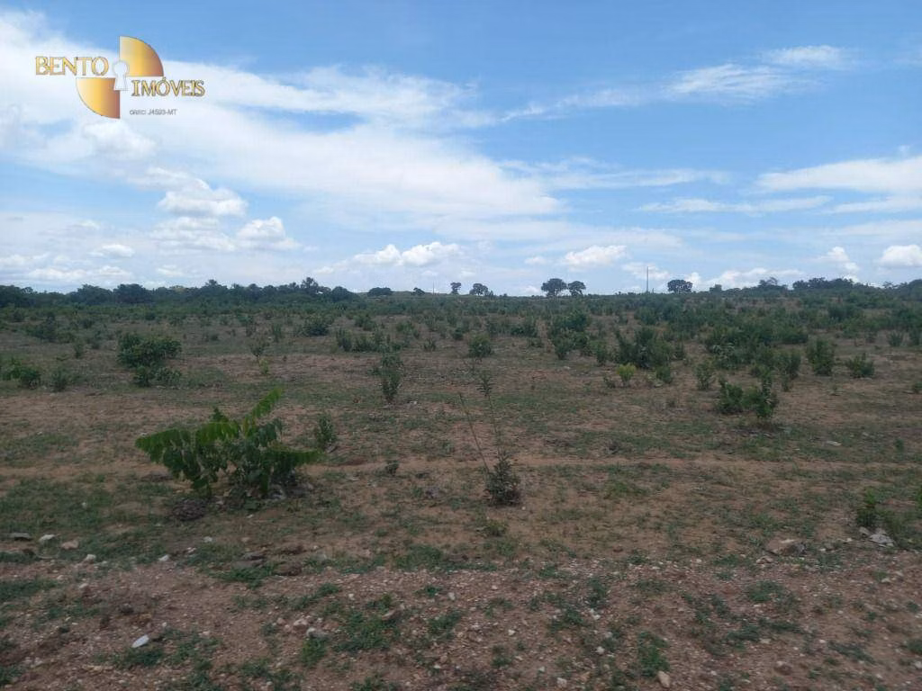 Fazenda de 1.629 ha em Poconé, MT