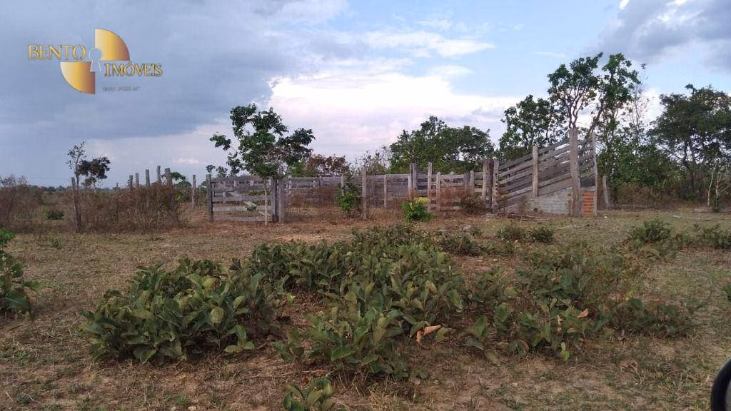 Fazenda de 1.629 ha em Poconé, MT
