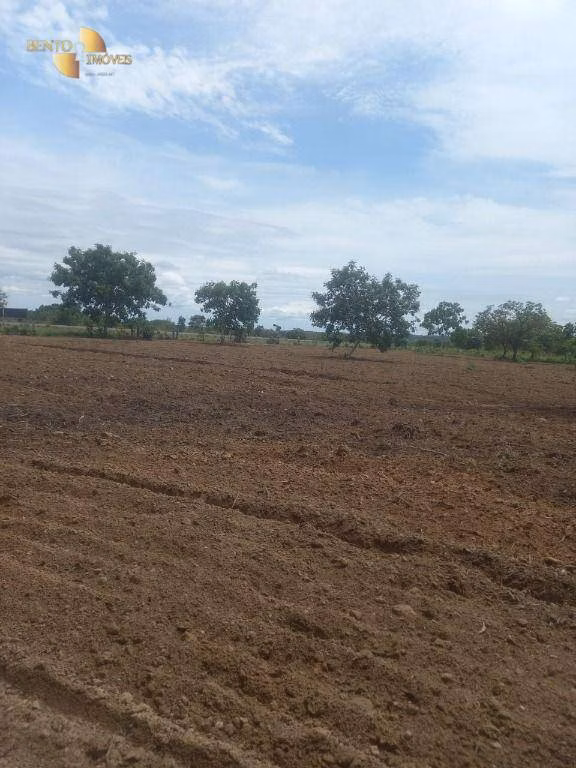 Fazenda de 1.629 ha em Poconé, MT