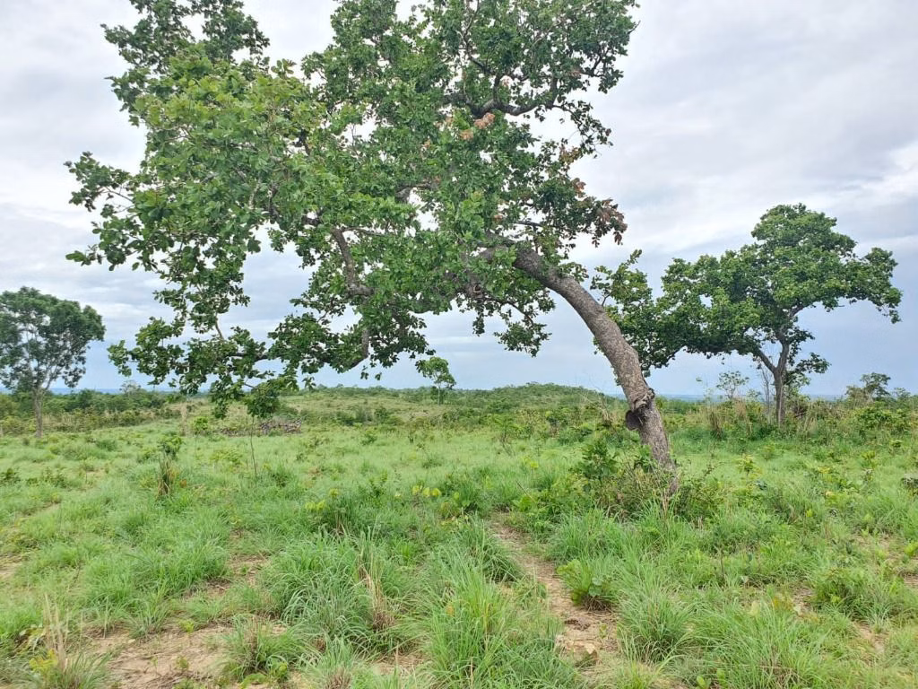 Sítio de 70 ha em Nobres, MT