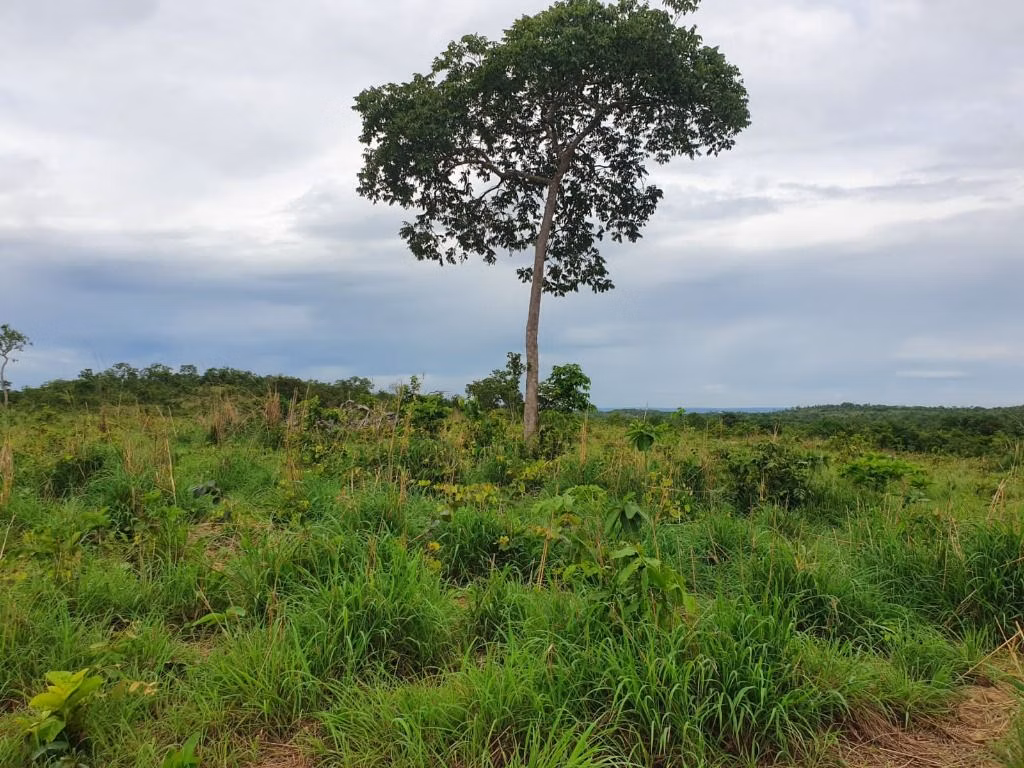 Sítio de 70 ha em Nobres, MT