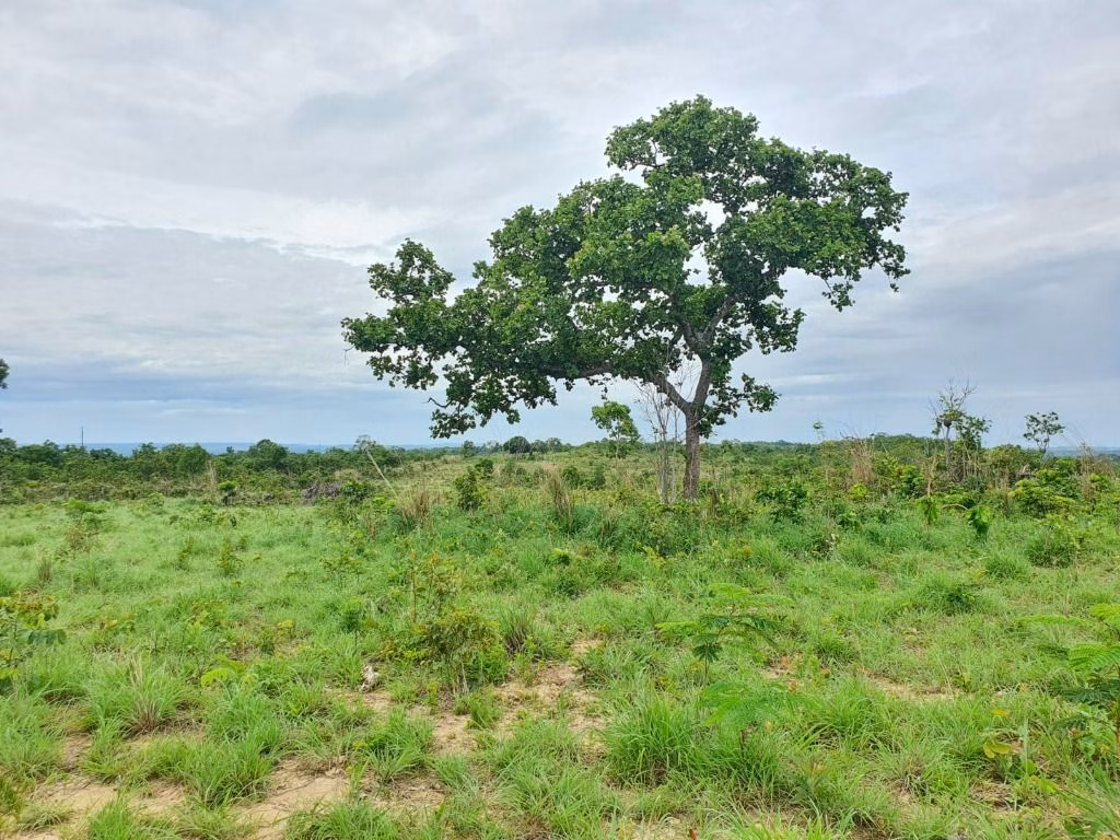 Sítio de 70 ha em Nobres, MT