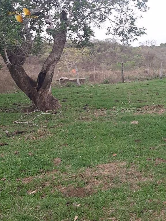 Fazenda de 400 ha em Guiratinga, MT