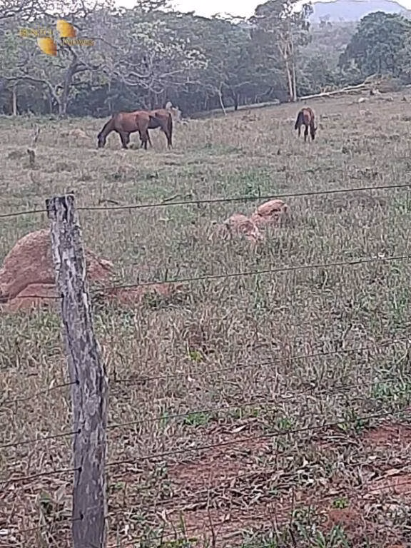 Fazenda de 400 ha em Guiratinga, MT