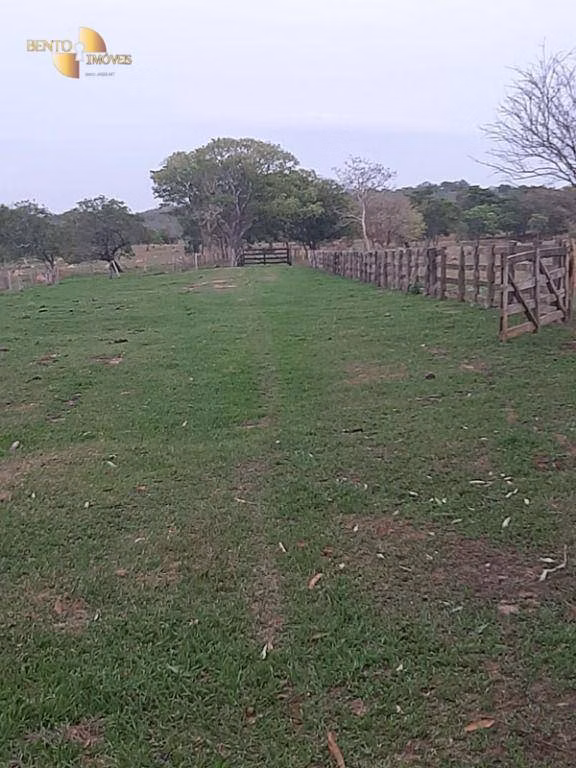 Fazenda de 400 ha em Guiratinga, MT