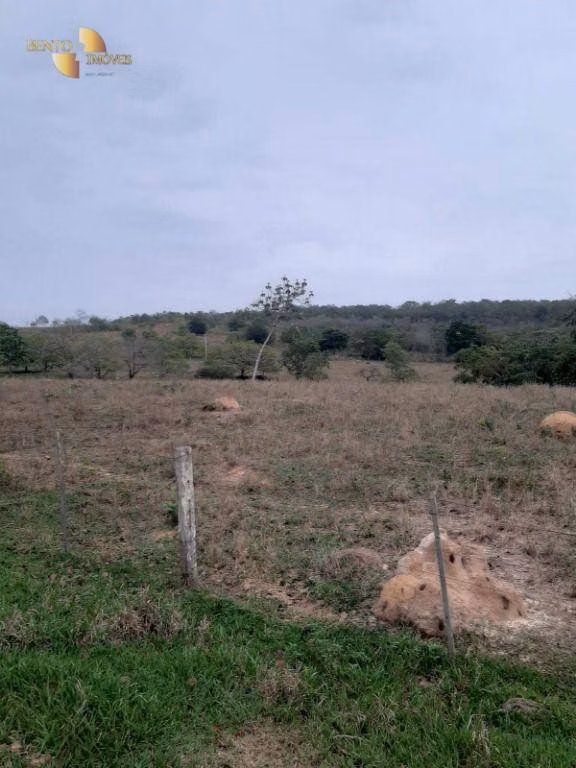 Fazenda de 400 ha em Guiratinga, MT
