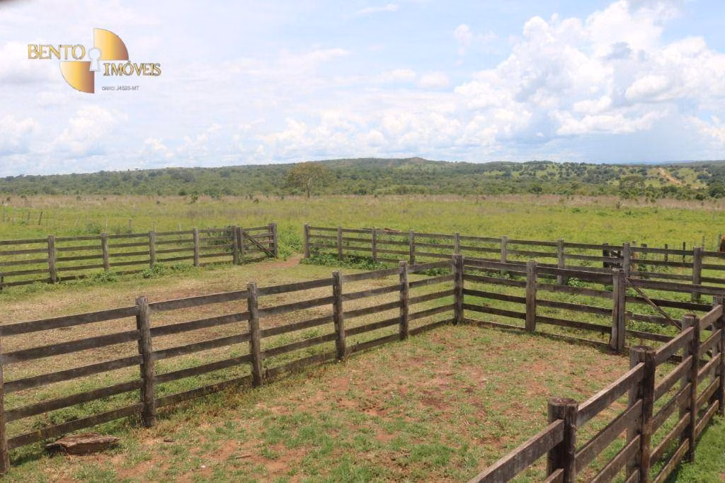 Fazenda de 2.059 ha em Guiratinga, MT