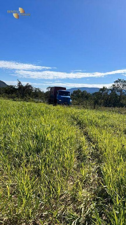 Fazenda de 242 ha em Cáceres, MT