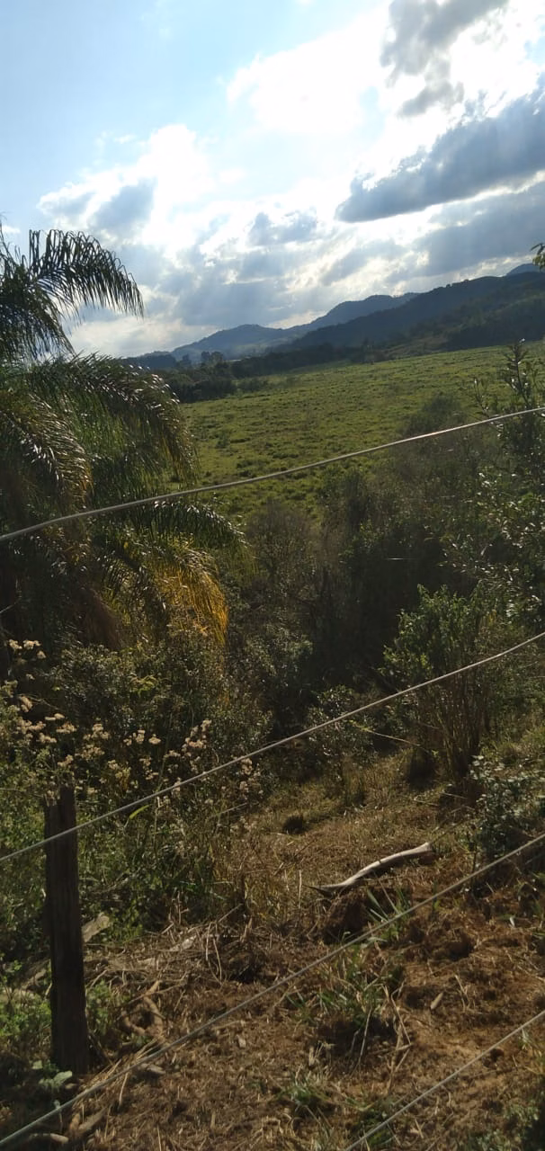 Fazenda de 303 ha em Pouso Alegre, MG