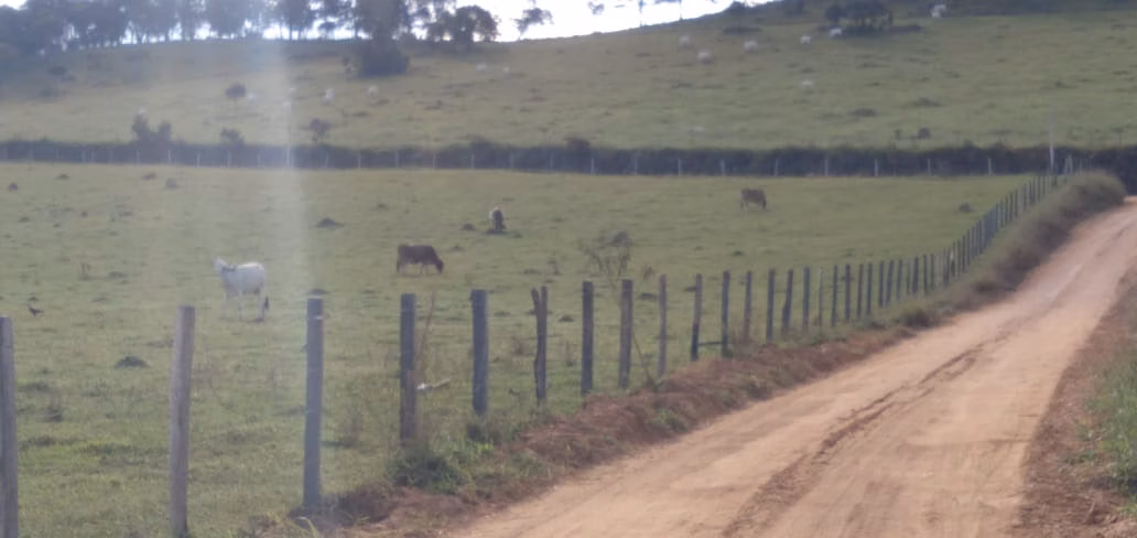Fazenda de 303 ha em Pouso Alegre, MG