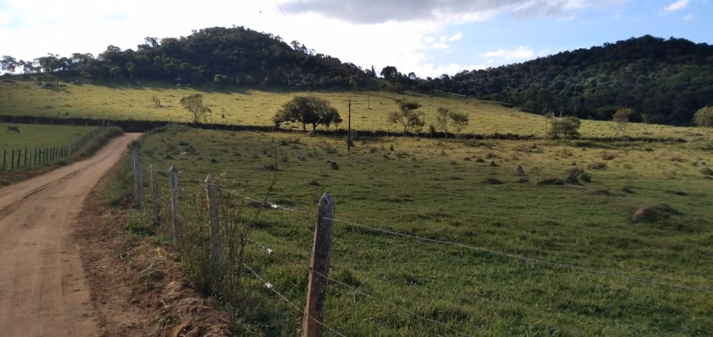 Fazenda de 303 ha em Pouso Alegre, MG