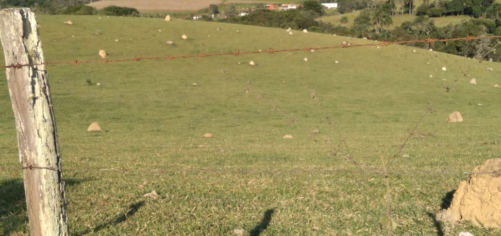 Farm of 747 acres in Pouso Alegre, MG, Brazil