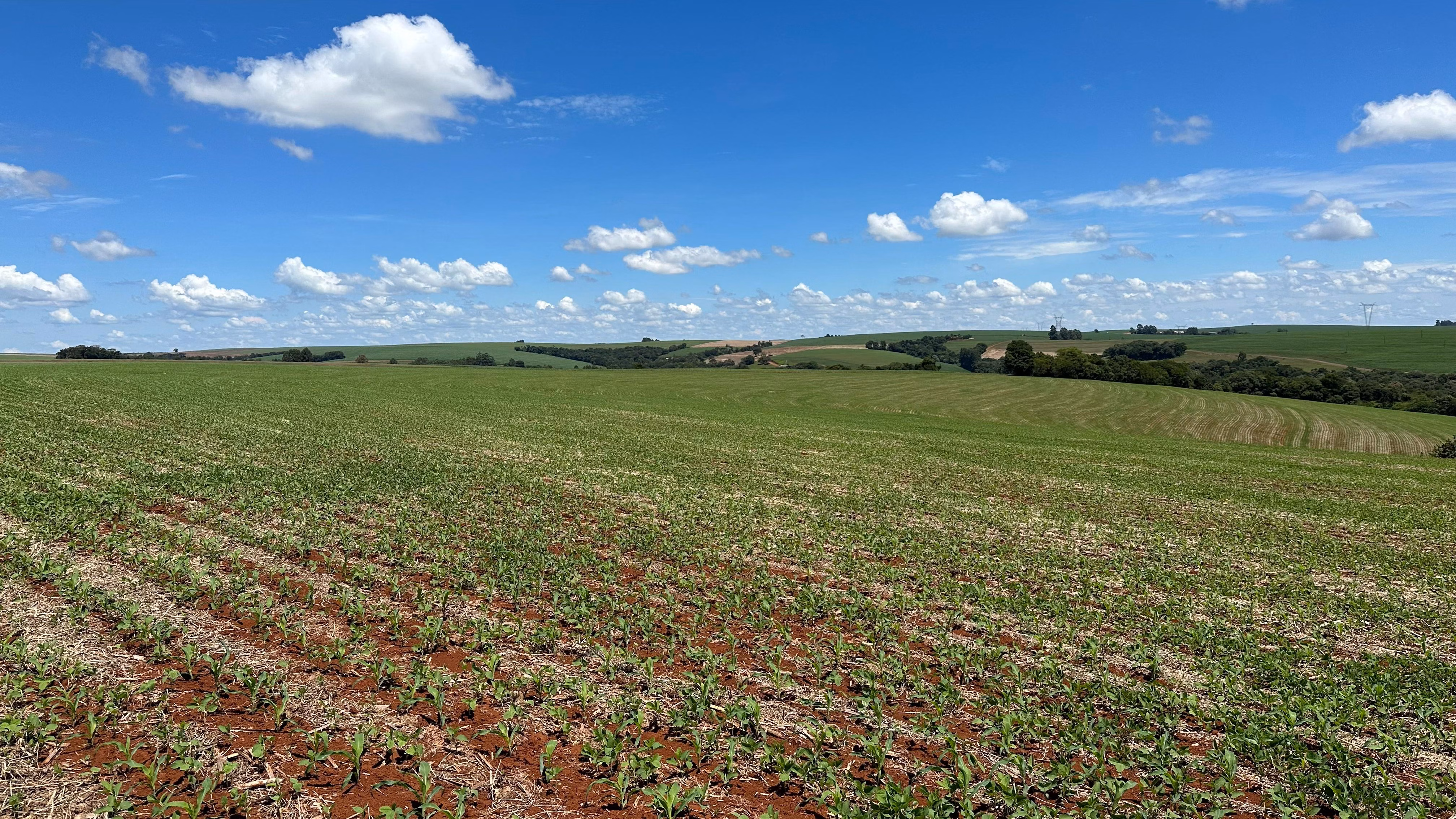 Farm of 101 acres in Cascavel, PR, Brazil
