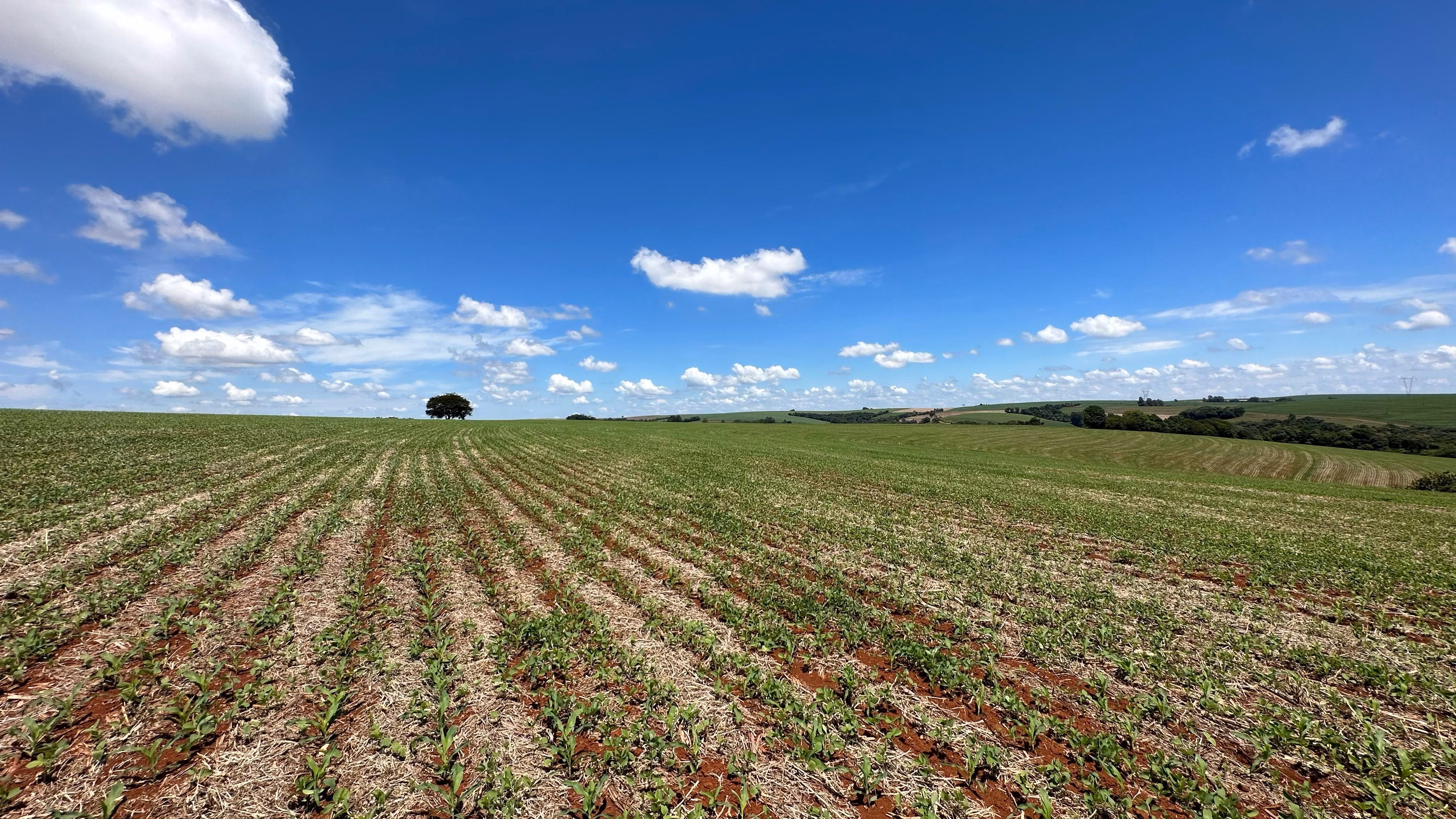 Farm of 101 acres in Cascavel, PR, Brazil