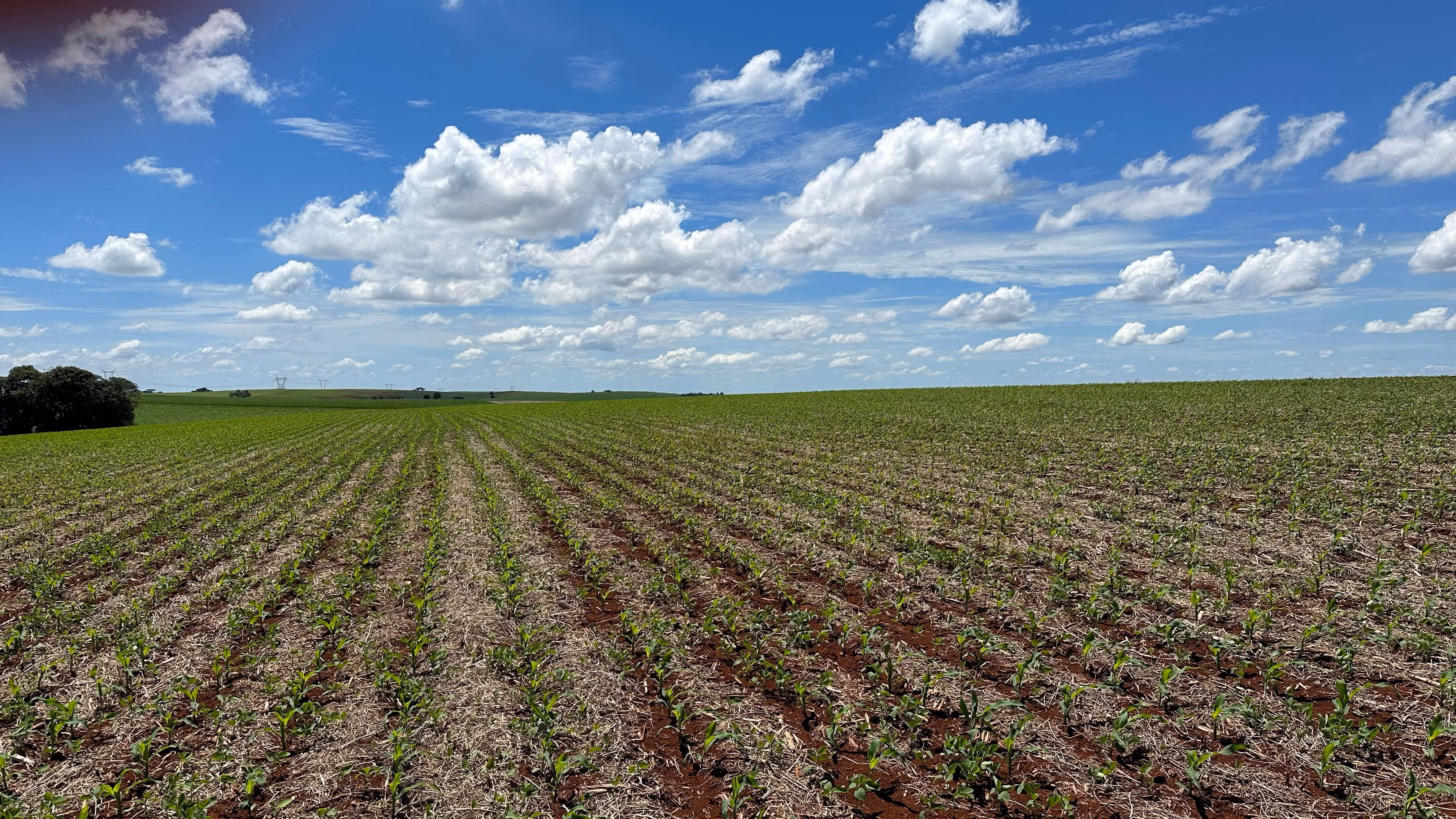 Farm of 101 acres in Cascavel, PR, Brazil