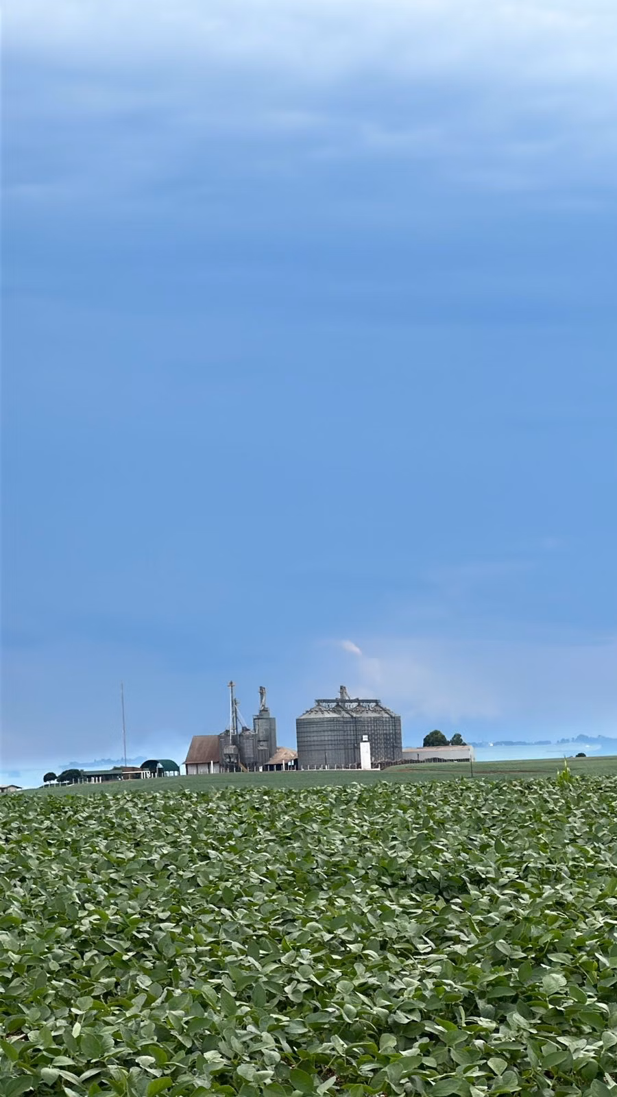 Farm of 101 acres in Cascavel, PR, Brazil