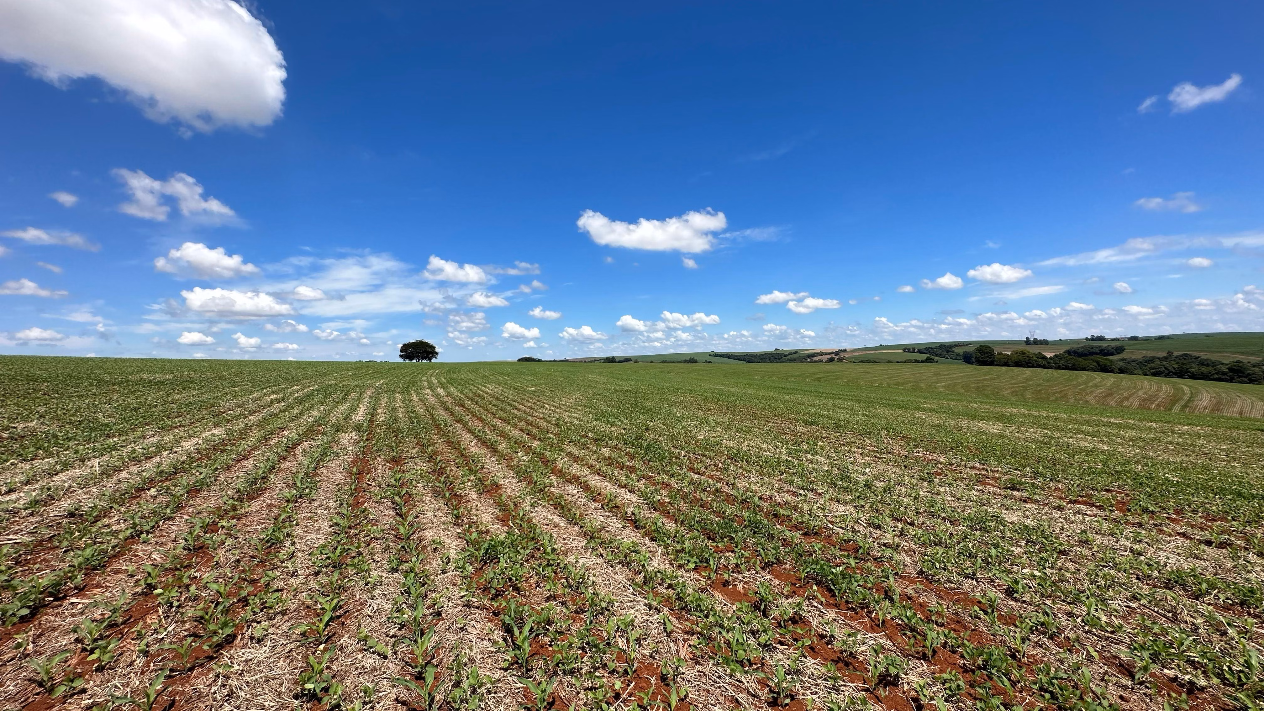 Farm of 101 acres in Cascavel, PR, Brazil