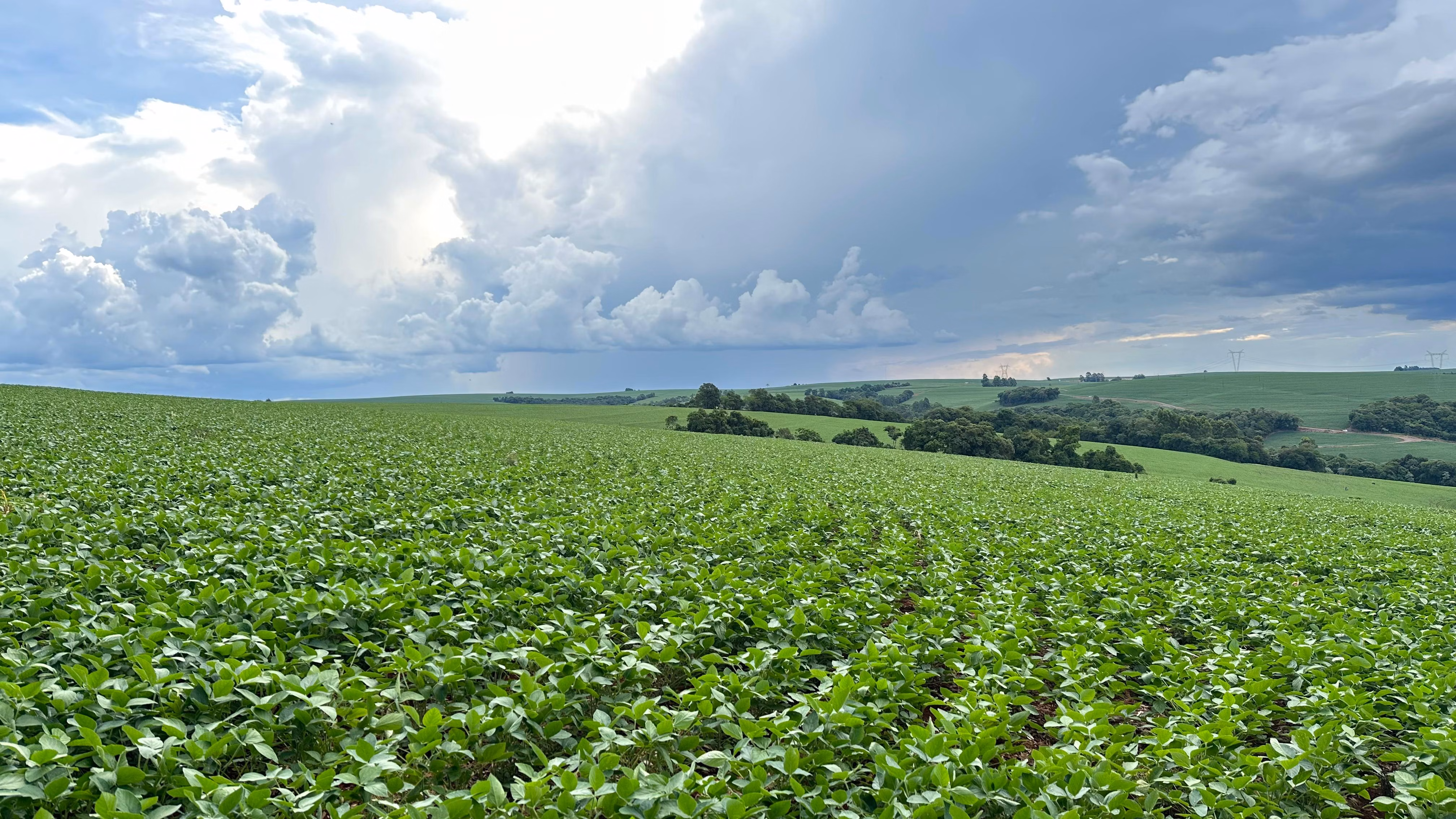 Farm of 101 acres in Cascavel, PR, Brazil